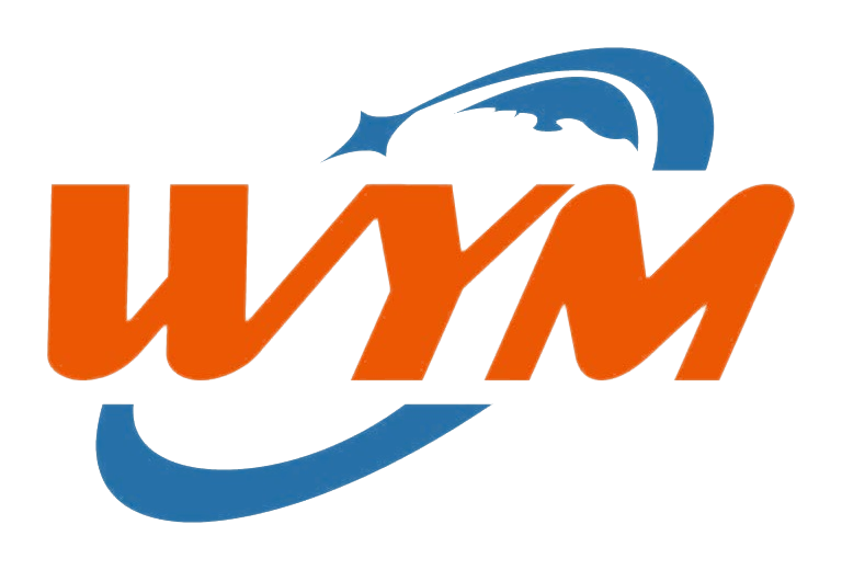 Woyoumi logo