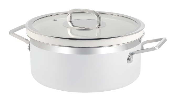 S168 Colorful Pot Dish